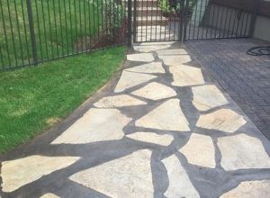 Decorative concrete path and paver patio