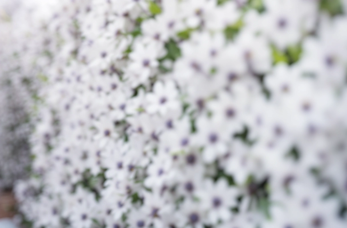Professional image illustrating 1. Sustainable Landscaping Practices